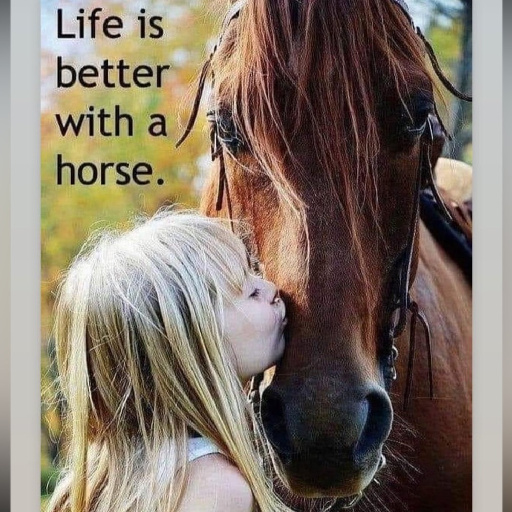 Horses are Peace